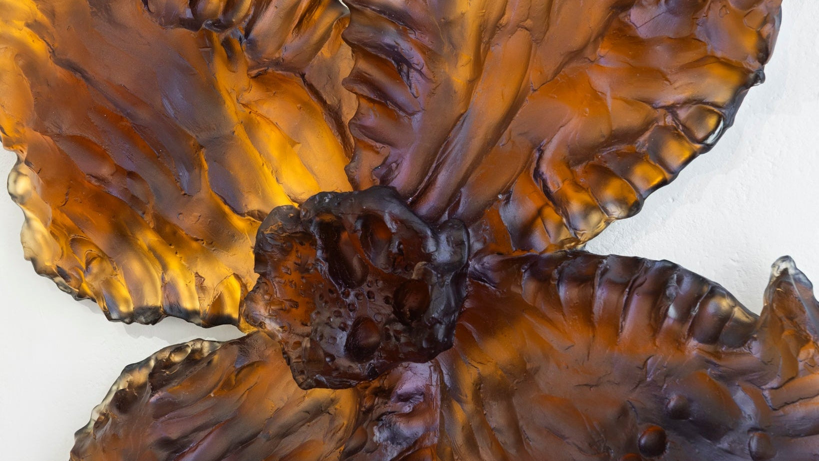 Iris II